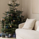 Julgranar